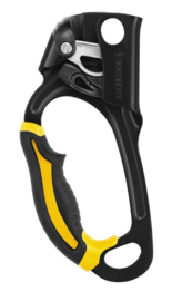 Petzl Ascension