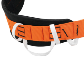 Petzl Aven