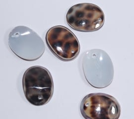 Kleine ovale schelpen hanger met bewerkt randje (S12)