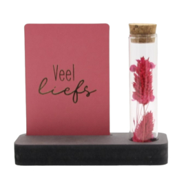 plankje kaartje veel liefs