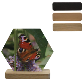 Fotoplankje hexagon