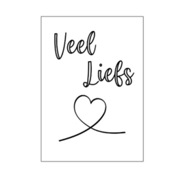 cadeaukaartje-veel liefs