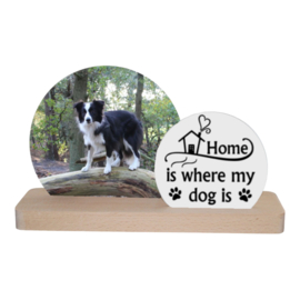 fotoplankje home is where my dog(s) is