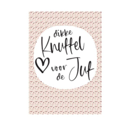 cadeaukaartje-dikke knuffel juf