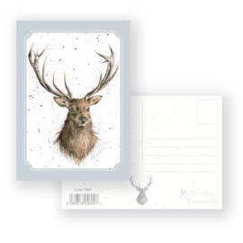 Wrendale postcard "Portrait of a Stag" - hert