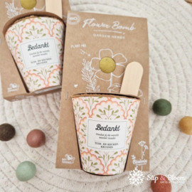 Blossombs zaadbommetje Grow Kit - Bedankt! Garden Herbs