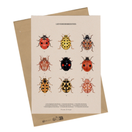 Lonneke Grimbergen A4 art print - Lieveheersbeestjes