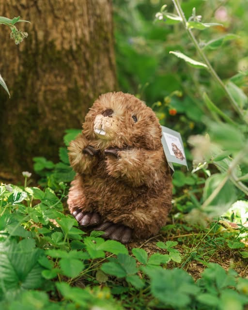 Wrendale knuffel - medium - "Chester" - bever