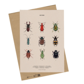 Lonneke Grimbergen A4 art print - Kevers
