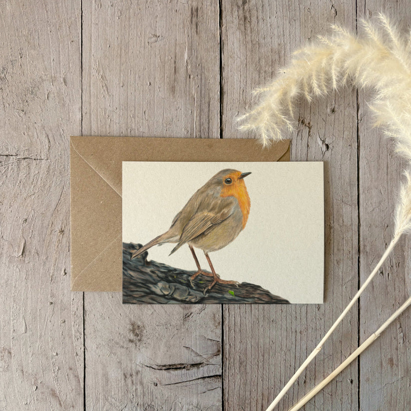 Fencil Art Studio - A6 kaart met envelop - roodborstje