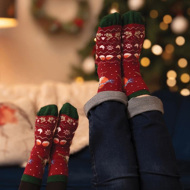 Wrendale Kerst sokken "Season's Tweetings" - roodborstje