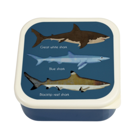 Lunchboxen set - sharks