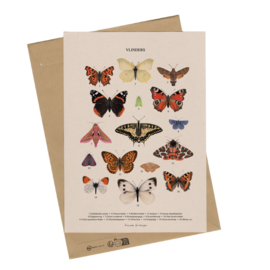 Lonneke Grimbergen A4 art print - Vlinders