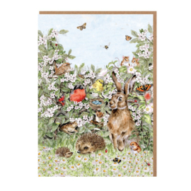 Wrendale Nature Notecard Pack - "Hidden in the Hedgerow"