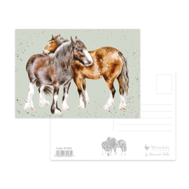 Wrendale postcard "Side by Side" - paard