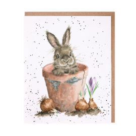 Wrendale greeting card - "The Flower Pot" - konijn