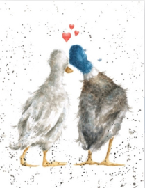 Wrendale mini card "Duck Love" - eend