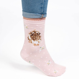 Wrendale sokken "Grinny Pig" - cavia