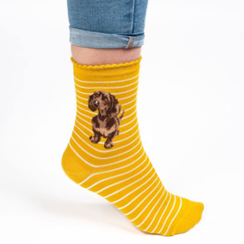 Wrendale sokken "Little One" - teckel
