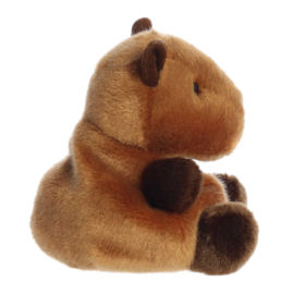 Palm Pal - Capibara "Sid"