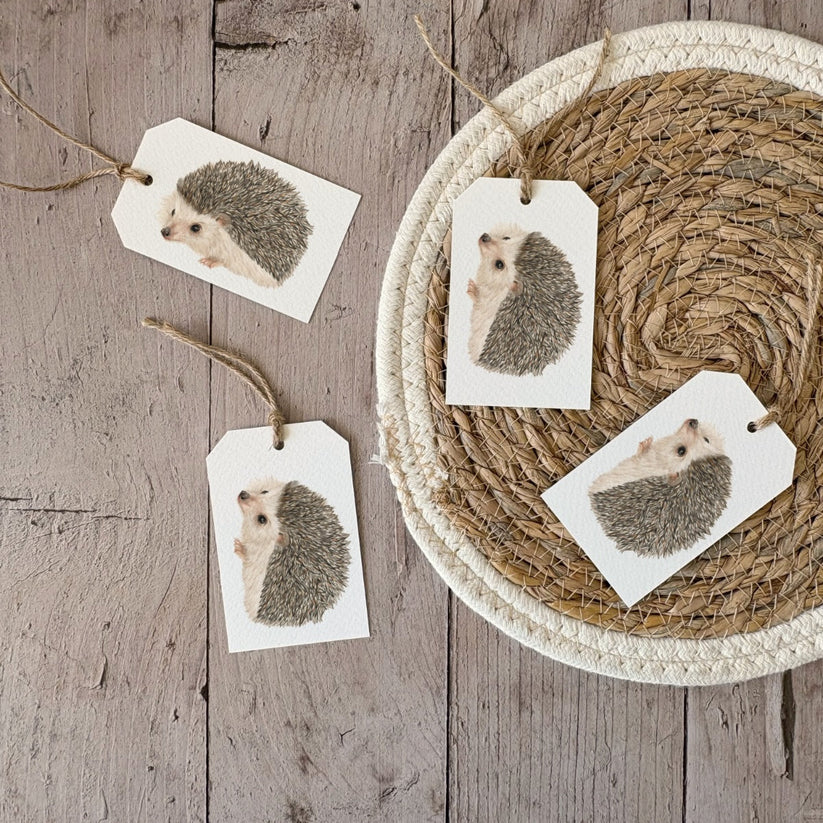 Fencil Art Studio - cadeaulabel - egel