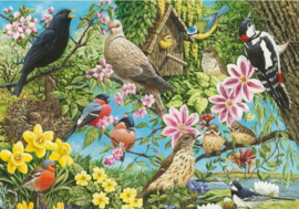 Otter House puzzel - 500 - Natures Finest