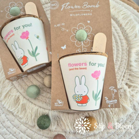 Blossombs zaadbommetje Grow Kit - Nijntje "Flowers for You!"