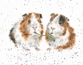 Wrendale mini card "Lettuce be Friends" - cavia's