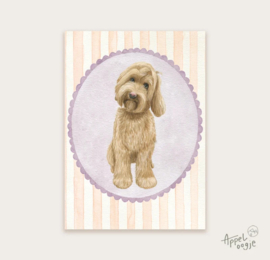Appeloogje ansichtkaart - Labradoodle