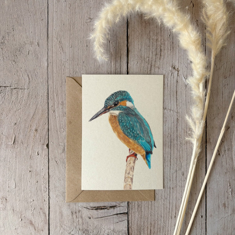 Fencil Art Studio - A6 kaart met envelop - ijsvogel 2