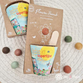 Blossombs zaadbommetje Grow Kit - Bedankt voor het schooljaar