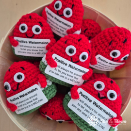Geluksknuffeltje Positive Watermelon