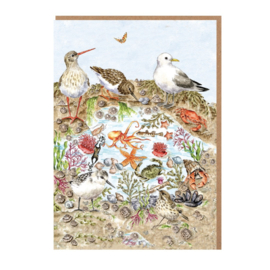 Wrendale Nature Notecard Pack - "Secrets of the Sea"