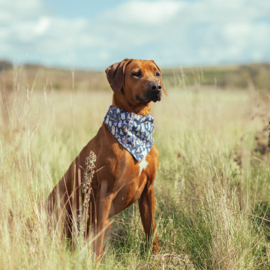 Wrendale Dog Bandana M/L