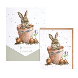 Wrendale Notecard Pack "Flower Pot" - konijn