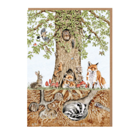 Wrendale Nature Notecard Pack - "Wild Woodland"
