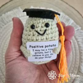 Geluksknuffeltje Positive Student