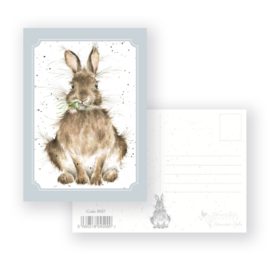 Wrendale postcard "Daisy" - konijn