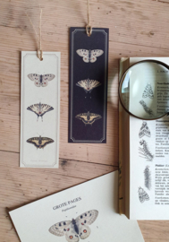 Lonneke Grimbergen Boekenlegger - Grote Pages