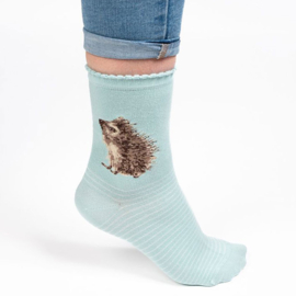 Wrendale sokken "Hedgehugs" - egel