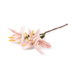 Vilten tak - Lelie wit/roze