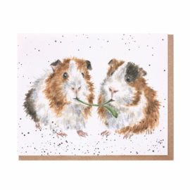 Wrendale greeting card - "Lettuce be Friends" - cavia