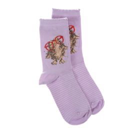 Wrendale sokken "Spectacular"- uil