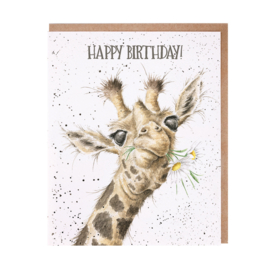 Wrendale greeting card "Happy Birthday" - giraffe