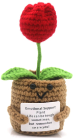 XL Geluksknuffeltje Positive Tulp