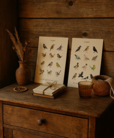 Lonneke Grimbergen A4 art print - Tuinvogels deel 2