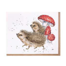 Wrendale greeting card - "A Prickly Adventure" - egel