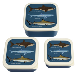 Lunchboxen set - sharks