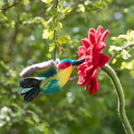 Vilten hanger - kolibrie