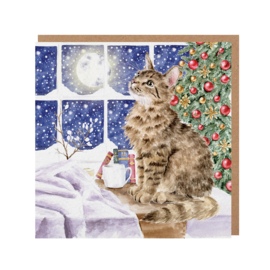 Wrendale Christmas card - "Christmas Stars" - poes